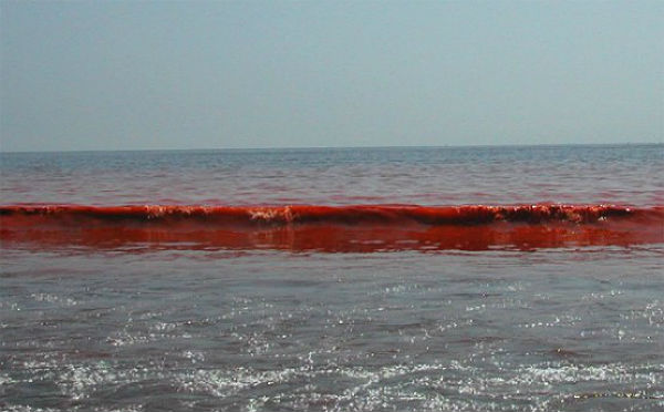 mar-azov-rojo2